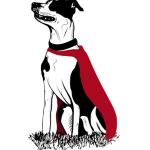 Super Dogs Super Dogs