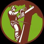 The Tree Company Spain The Tree Company Spain
