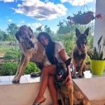 Centro Canino Tiki Ohana Centro Canino Tiki Ohana