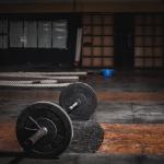 Lose Fat Gain Muscle