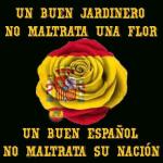 Reformasmadrid Reformasmadrid