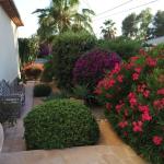 Jardineria Y Servicios. Jardineria Y Servicios.