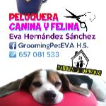 Eva Hernandez Eva Hernandez