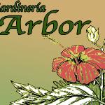 Arbor Jardineria Arbor Jardineria