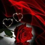 Hanan Moukdad Hanan Moukdad