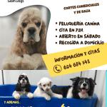 Glamdogs Boadilla