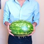 Bronny Loayza Alvarado Bronny Loayza Alvarado