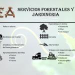 E A Servicios Forestales Jardinería Y Construcción