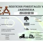 Ea  Servicios Forestales Y Jardines
