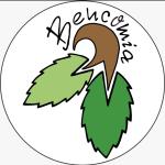 Bencomia Servicios Bencomia Servicios