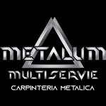 Metalum Multiservie