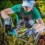 El Rincón De Alejandro