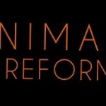 Nimana Reformas Nimana Reformas