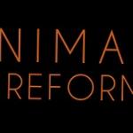 Nimana Reformas