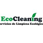 Ecocleaning