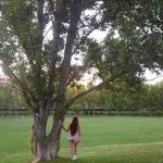 Romina Romero Romina Romero