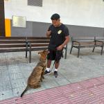 Fernando Guaman Adiestrador Canino Fernando Guaman Adiestrador Canino