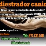 Carlos Boudon Carlos Boudon