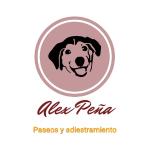 Alejandro P. Alejandro P.