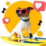 Hotel Canino Patitas