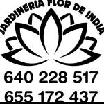 Jardinería Flor De India