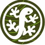 The Green Gecko