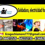 Ecogochismore Ecogochismore