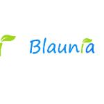 Blaunia Servicios Integrales David Alvarez De La Nuez Blaunia Servicios Integrales David Alvarez De La Nuez