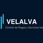 Velalvacontrol De Plagas