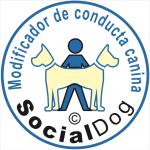 Socialdog Socialdog
