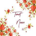 Temet Nosce Temet Nosce