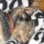 Lucia Pousada Lucia Pousada