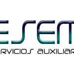 Resema Servicios Auxiliares Sl