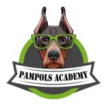 Pampols Academy