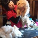 Catcareathome Catcareathome