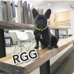 Rgg