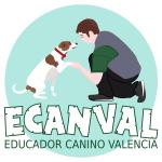 Ecanval Educador Canino Valencia Adiestramiento Y Excursiones