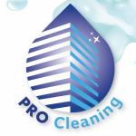 Pro Cleaning Pro Cleaning