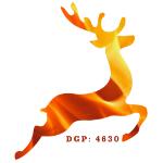 Reindeer Security & Systems S.l.u.