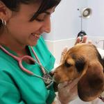 Veterinaria Bárbara Sánchez