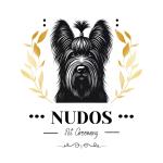 Academia De Peluquería Canina Nudos