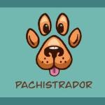 Pachistrador Pachistrador