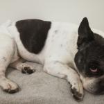 Sara Garcia Ruano Ruano Sara Garcia Ruano Ruano