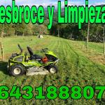 Jardinero Jardineria Jardinero Jardineria