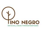 Pinonegro Pinonegro