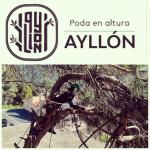 Ayllón Podas En Altura Ayllón Podas En Altura