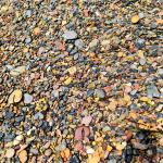 Inés Velásquez Inés Velásquez