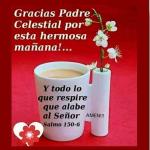 Rosa Ivania Morales Acuña Rosa Ivania Morales Acuña