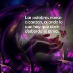 Sonia Sonia