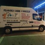 Movilcanangie Movilcanangie